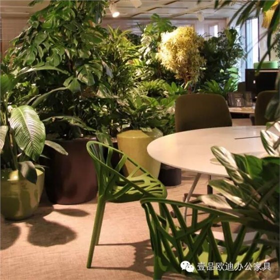 為什么辦公室里一定要養植物？-壹品歐迪辦公家具