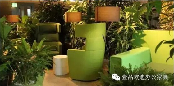 為什么辦公室里一定要養植物？-壹品歐迪辦公家具