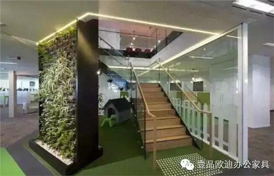 為什么辦公室里一定要養植物？-壹品歐迪辦公家具