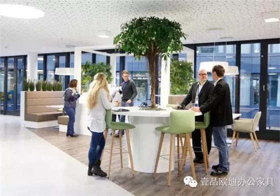 為什么辦公室里一定要養植物？-壹品歐迪辦公家具