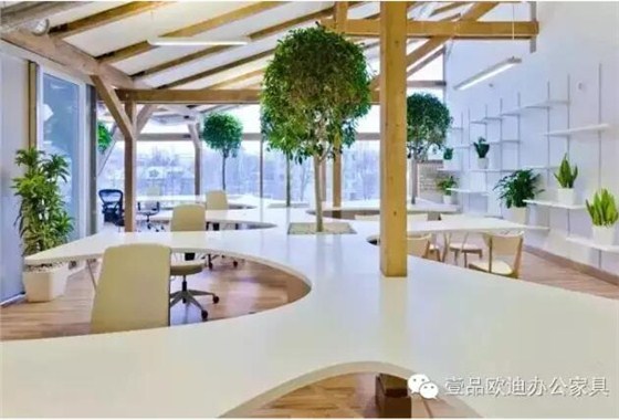 為什么辦公室里一定要養植物？-壹品歐迪辦公家具
