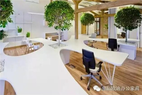 為什么辦公室里一定要養植物？-壹品歐迪辦公家具
