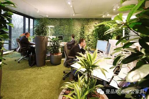 為什么辦公室里一定要養(yǎng)植物？